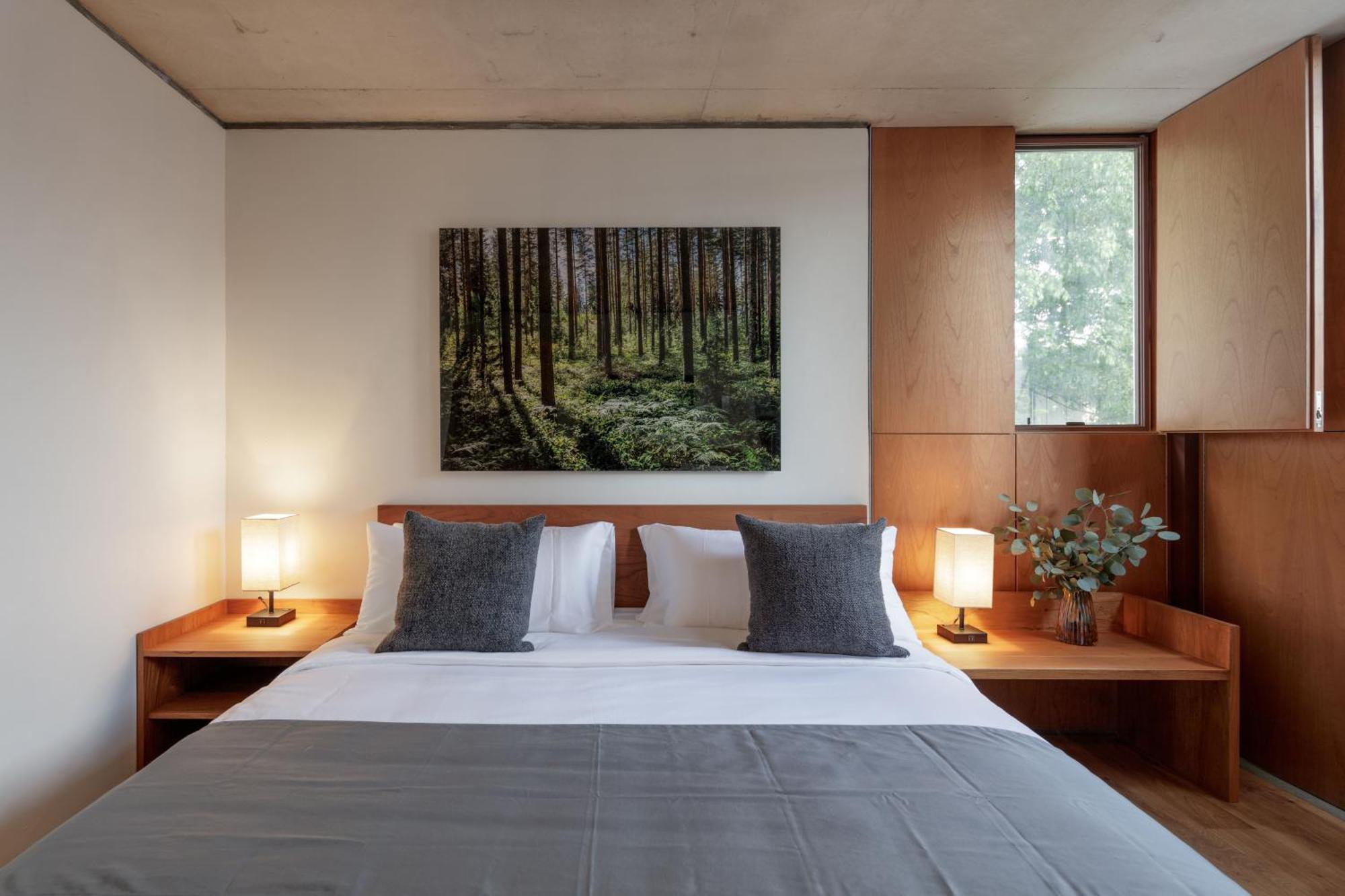Casa Bosque Eduviges Hotel Guadalajara Ngoại thất bức ảnh