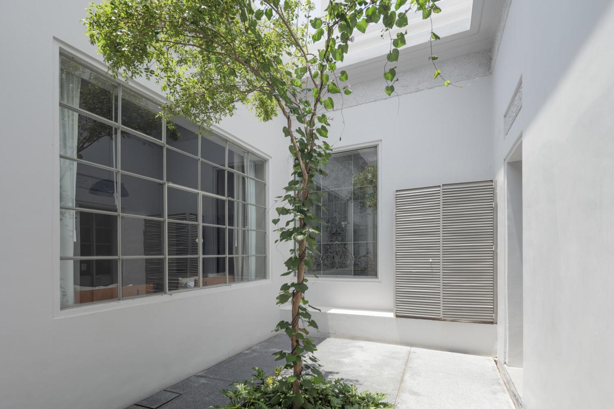 Casa Bosque Eduviges Hotel Guadalajara Ngoại thất bức ảnh